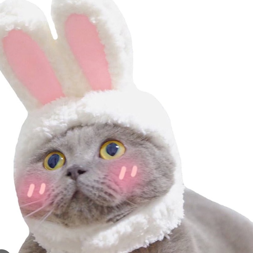 Bunny ear fluffy ears kitty cat puppy small animal Velcro adorable costume